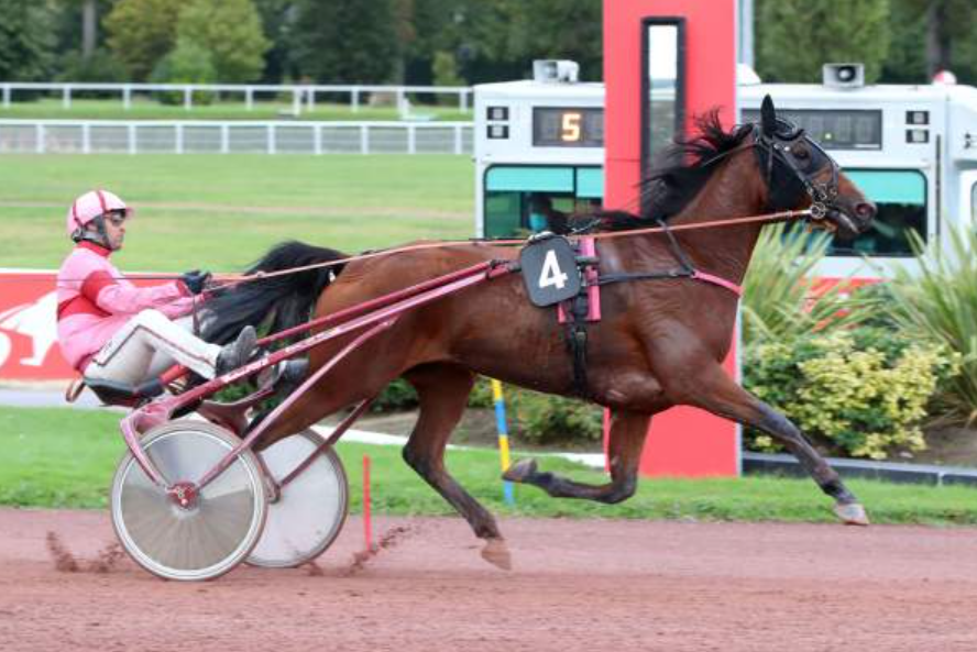 arcenturf || argenturf || arcenturf turf || arcenturf gagnant || messiturf gagnant